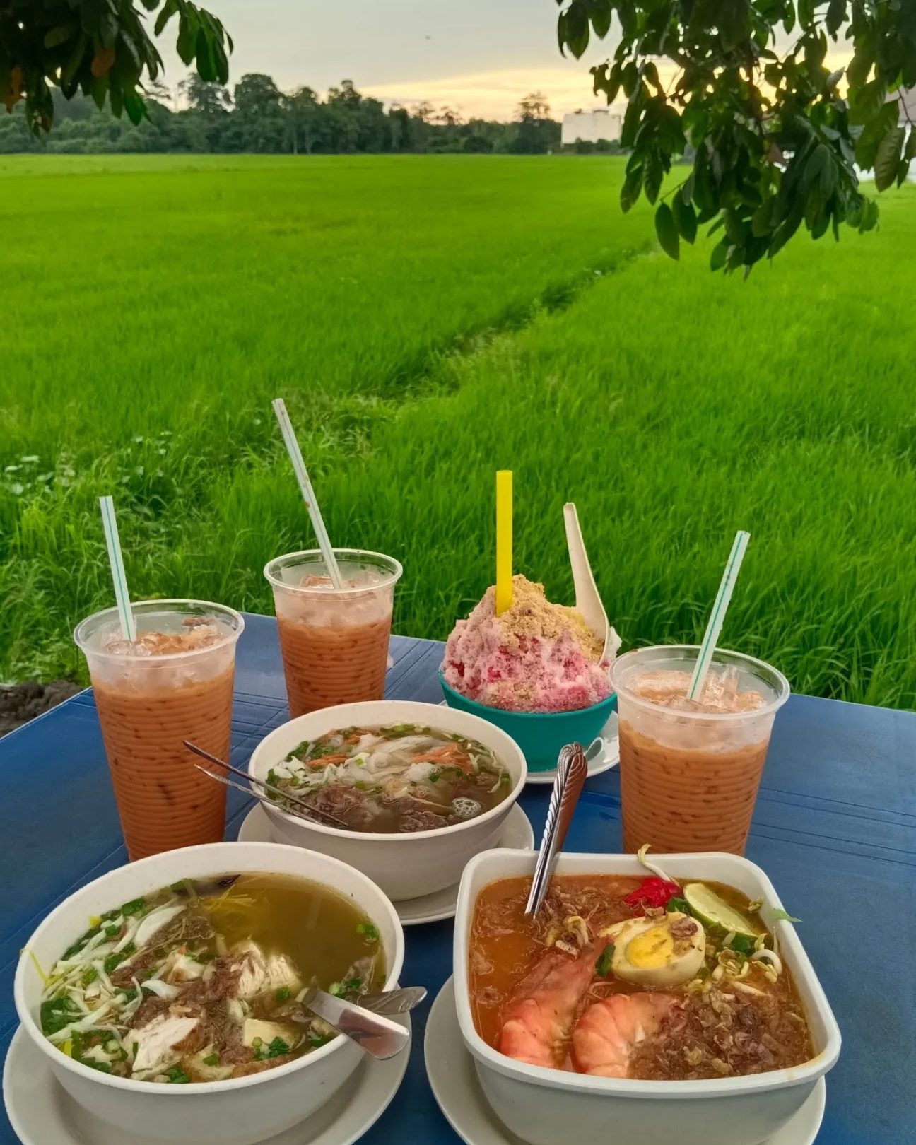 warung mee udang djitra